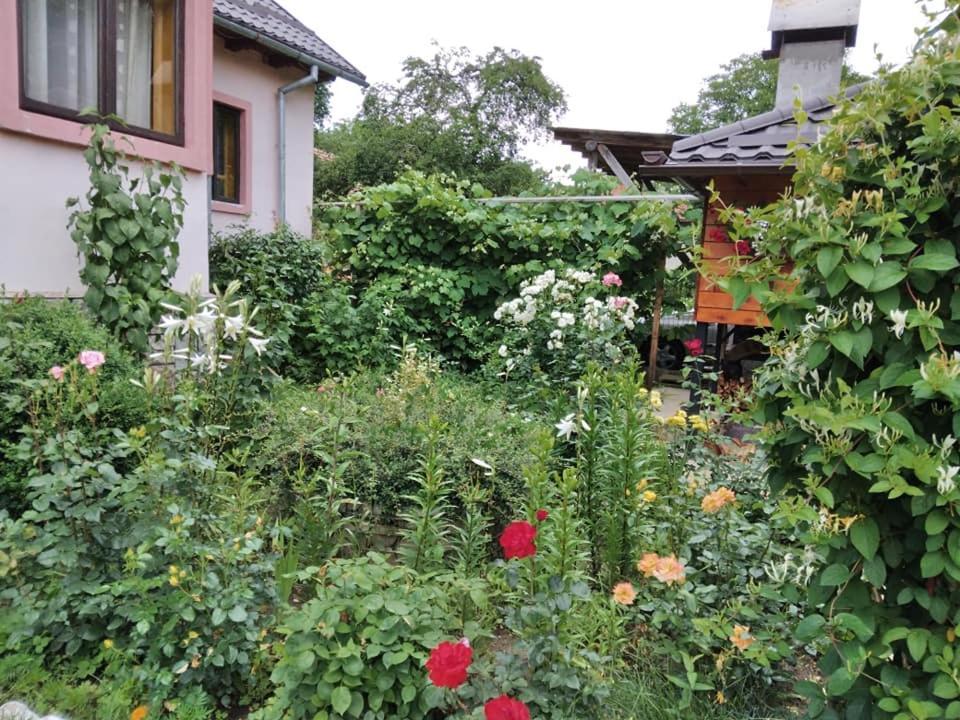 Casa Fetic Lejlighed Nehoiu Eksteriør billede
