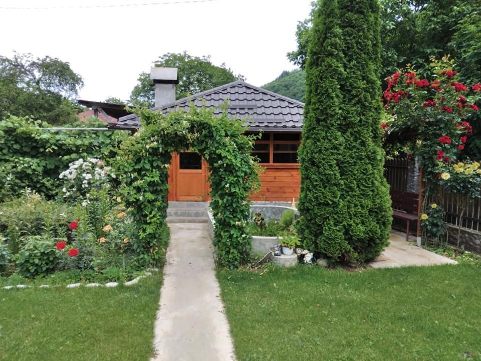 Casa Fetic Lejlighed Nehoiu Eksteriør billede