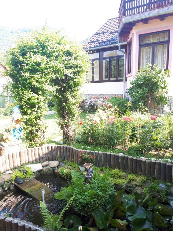 Casa Fetic Lejlighed Nehoiu Eksteriør billede